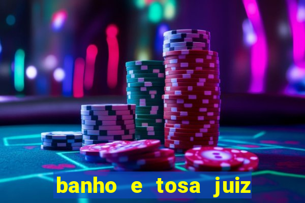 banho e tosa juiz de fora